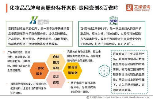 2021年中國品牌電商服務商行業研究報告 物流信息咨詢服務的重要性與趨勢